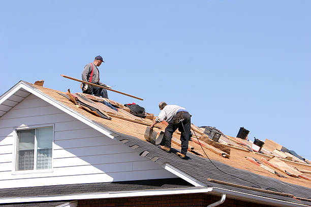 Best Roof Maintenance and Cleaning  in Lake Morton Berrydale, WA